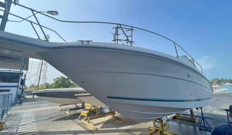 
								SEA RAY SUNDANCER 30 full									