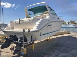 
										SEA RAY SUNDANCER 30 full									