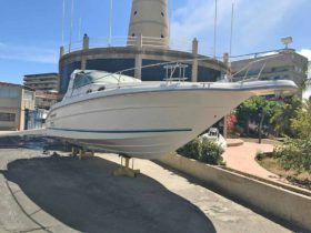SEA RAY SUNDANCER 30