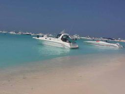 
										SEA RAY SUNDANCER 30 full									