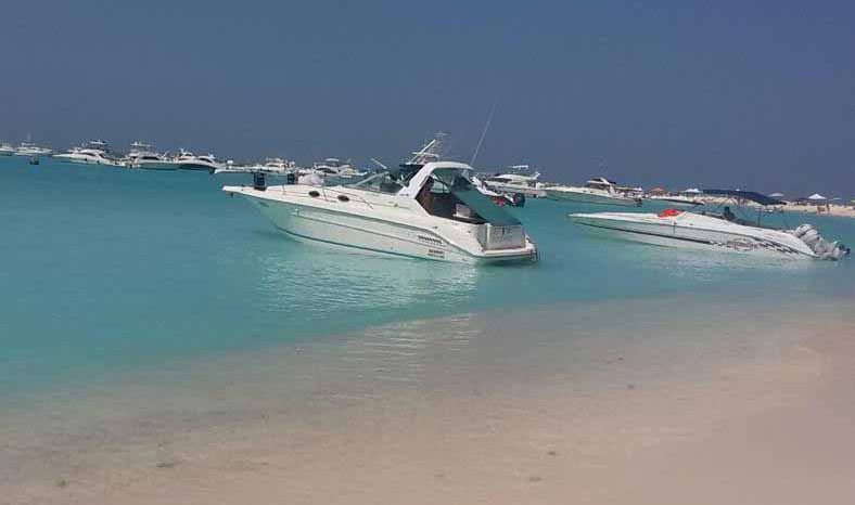 
								SEA RAY SUNDANCER 30 full									