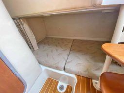 
										HYDRA SPORTS VECTOR 330 VX 33 full									