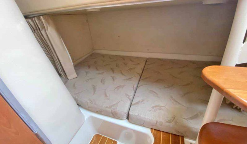 
								HYDRA SPORTS VECTOR 330 VX 33 full									