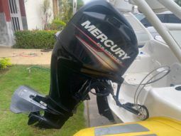 
										DINGHY CARIBE CL 14 full									