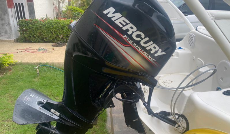 
								DINGHY CARIBE CL 14 full									