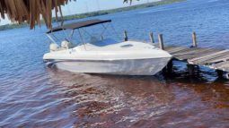 BLACK JACK 26