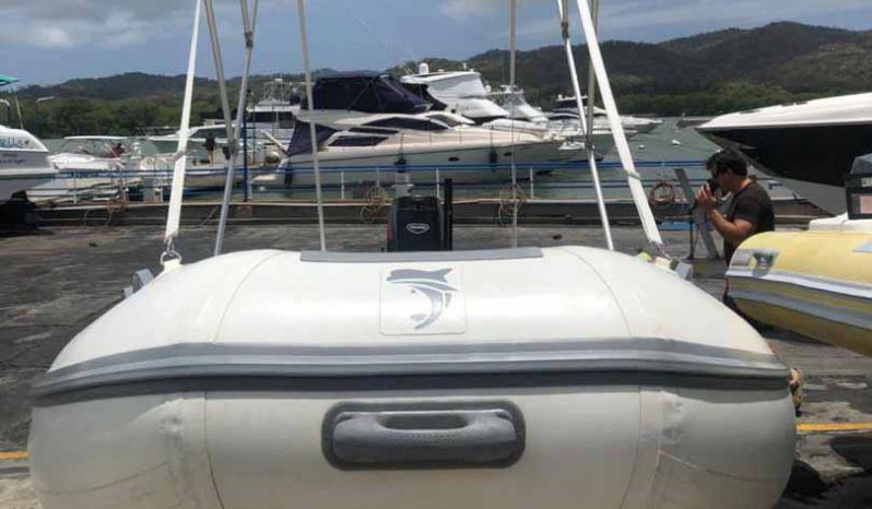
								DINGHY CARIBE 14 full									
