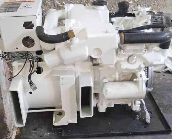 
								REGAL SPORT 33 full									