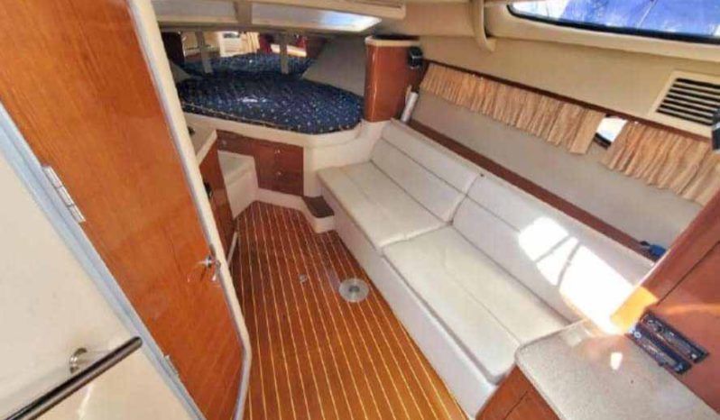 
								REGAL SPORT 33 full									