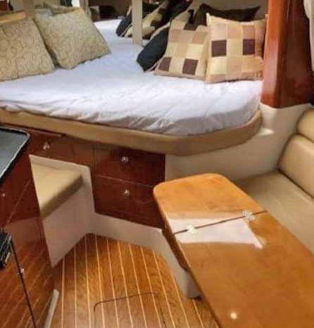 
								REGAL SPORT 33 full									