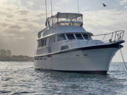 
										HATTERAS MY 53 full									