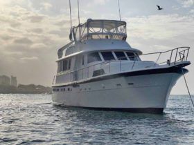 HATTERAS MY 53