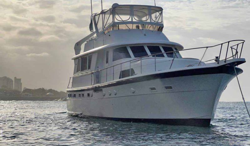 
								HATTERAS MY 53 full									