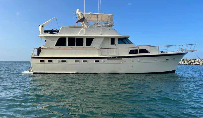 
								HATTERAS MY 53 full									