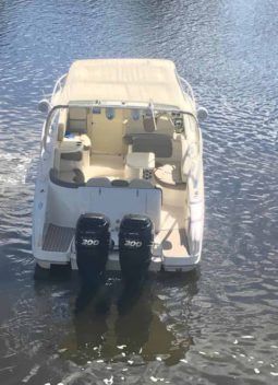
										PROMARINE EXPRESS 34 full									