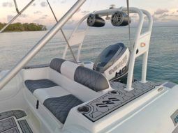 
										DINGHY CARIBE DL 17 full									