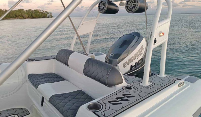 
								DINGHY CARIBE DL 17 full									