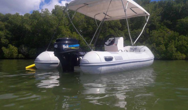 
								DINGHY CARIBE 14 full									