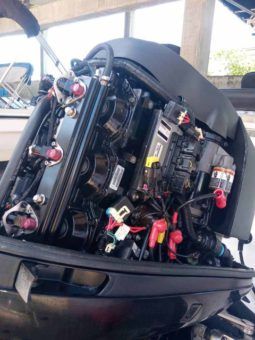 
										PROFINA OPEN 24 full									