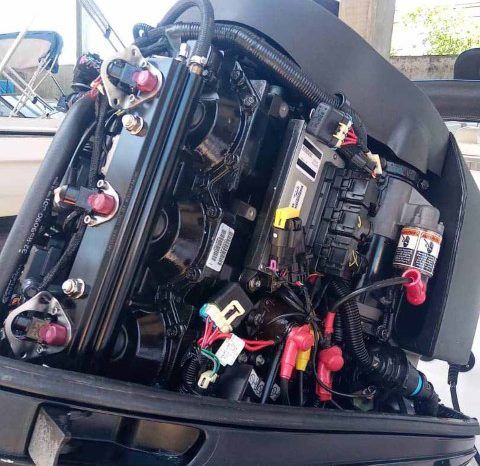 
								PROFINA OPEN 24 full									