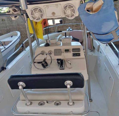 
								PROFINA OPEN 24 full									