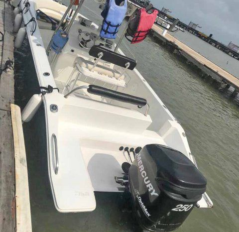 
								PROFINA OPEN 24 full									