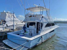 VIKING 48.8