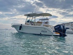 PROMARINE OPEN 27
