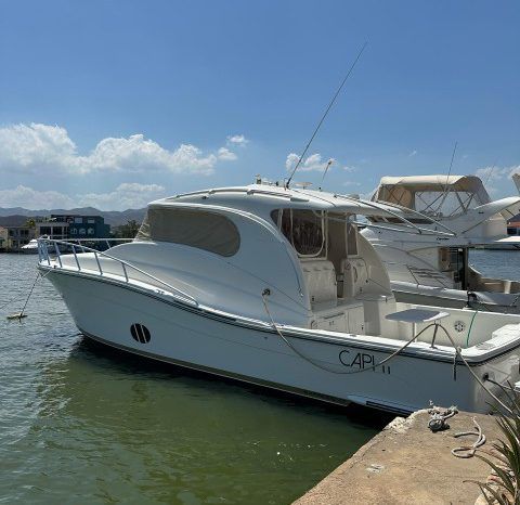 
								BLUE ARROW XPRESS 470 47 full									