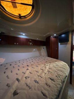 
										BLUE ARROW XPRESS 470 47 full									