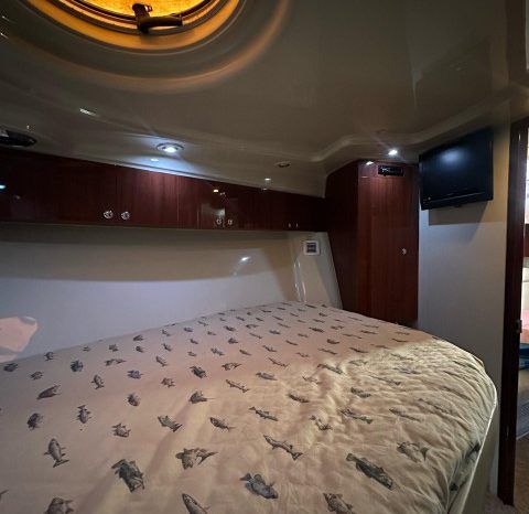 
								BLUE ARROW XPRESS 470 47 full									