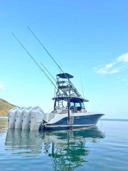 
										HCB SIESTA 42 full									