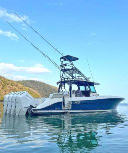 
										HCB SIESTA 42 full									