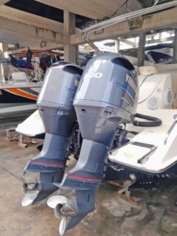 LEGACY 33
