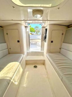 
										COMMANDER MILLENIUM 32.5 full									