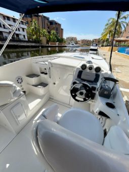 
										COMMANDER MILLENIUM 32.5 full									