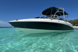 
										YAMAHA AR230 24 full									