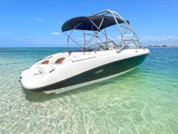 
										YAMAHA AR230 24 full									