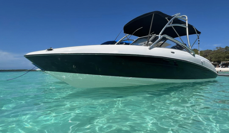 
								YAMAHA AR230 24 full									