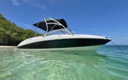 
										YAMAHA AR230 24 full									