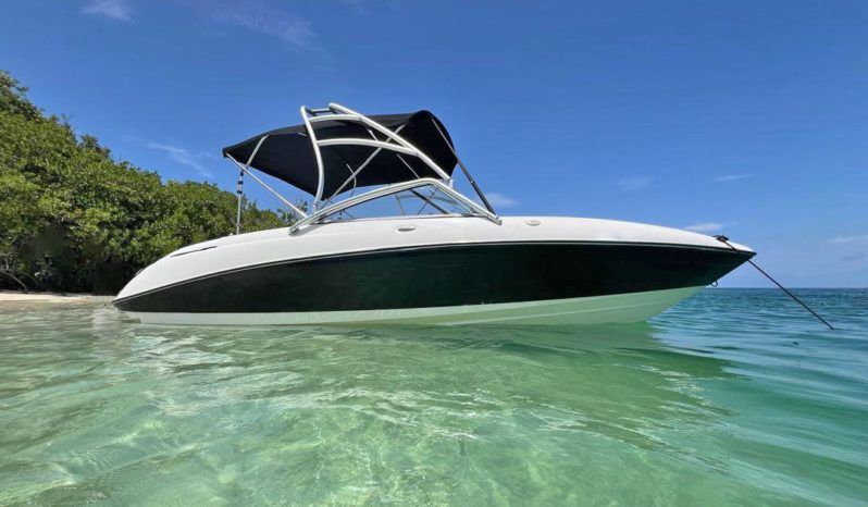 
								YAMAHA AR230 24 full									