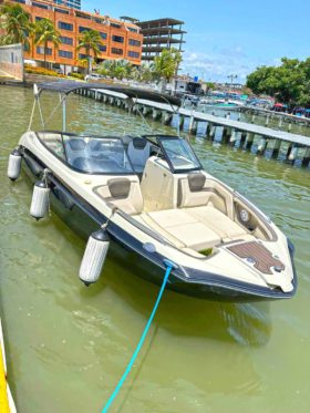 YAMAHA LIMITED 24.2