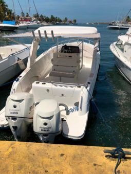 
										CORALINE OPEN 30 full									