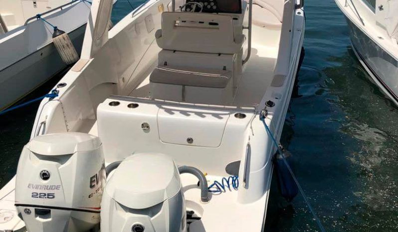 
								CORALINE OPEN 30 full									