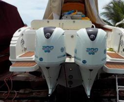 
										PROMARINE OPEN 33 full									