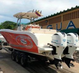 
										PROMARINE OPEN 33 full									