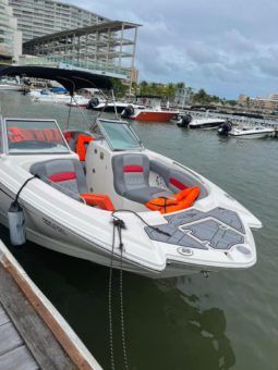 
										CHAPARRAL 24 full									