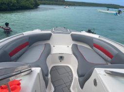 
										CHAPARRAL 24 full									
