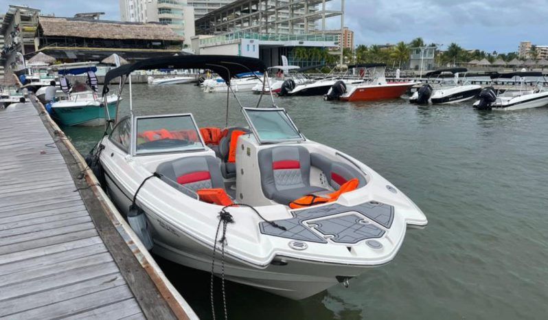 
								CHAPARRAL 24 full									