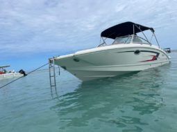 
										CHAPARRAL 24 full									